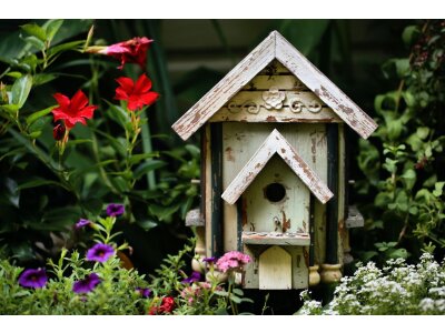 Птичьи домики