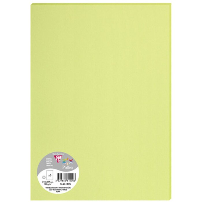 Clairefontaine 26150C Pollen DIN A4 120 g Knospengrün 5 Bögen