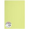 Clairefontaine 26150C Pollen DIN A4 120 g Knospengrün 5 Bögen
