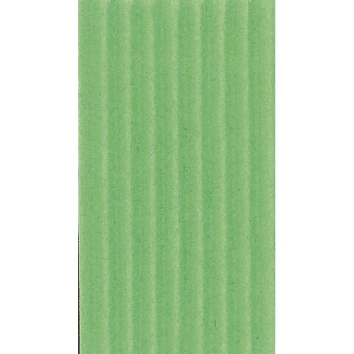Clairefontaine Wellpappe 50x70 cm grün - 95621C
