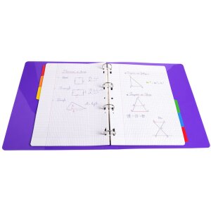 Exacompta 2306E Register DIN A4 6-teilig farbig 160...