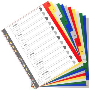 Exacompta 92E Register DIN A4 12 Taben farbig...