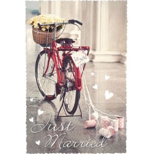 Artebene Karte Just Married  Fahrrad
