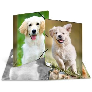 HERMA Postmappe DIN A4 mit Gummizug Hund, Farbe: nicht...