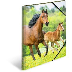 HERMA Postmappe A3 mit Gummizug Pferde