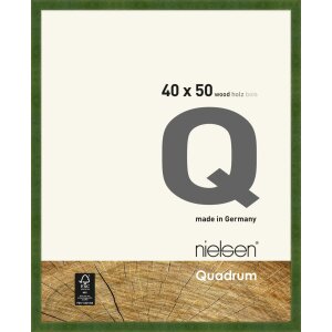 Nielsen Holz-Wechselrahmen Quadrum 40x50 cm grün