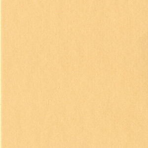 HNFD Passepartout nach Maß Albicocca Aprikosenfarbe...