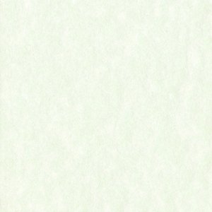 Passepartout 9x13 cm - 5x7 cm Perg Verdino