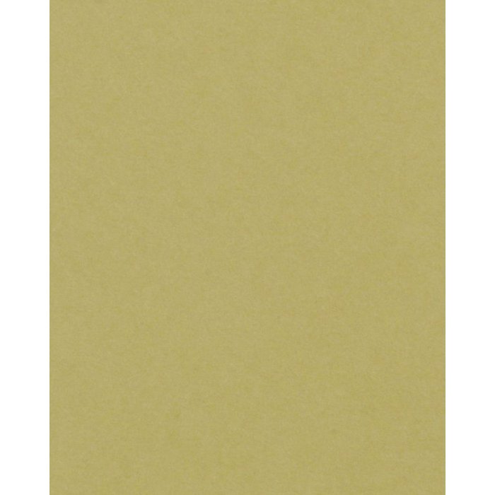 Passepartout 20x60 cm - 10x40 cm Verda Artemisia