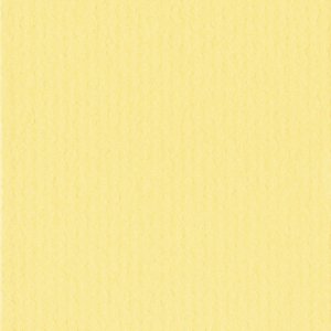 Passepartout 50x50 cm - 35x35 cm Giallo