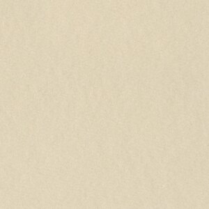 HNFD Schrägschnitt-Passepartout Panna beige 40...