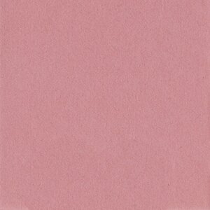 HNFD Schrägschnitt-Passepartout Lampone 40...