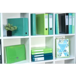 Exacompta Archivbox Iderama dunkelgrün 25x33 cm 40...