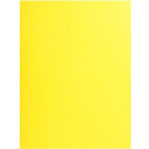 25er Packung Aktenmappen mit 2 Innenfächern aus...