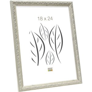 Deknudt Ornament-Bilderrahmen S95L 20x30 cm silber