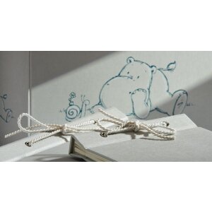 Walther Babyalbum Meine Taufe Madu 28x25 cm Strukturpapiereinband 50 Seiten