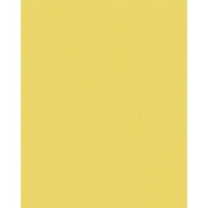 HNFD 20 Fotobox Trennkarten Giallo für Fotoboxen...