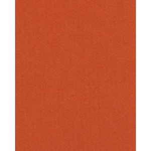 HNFD 20 Fotobox Trennkarten Corallo für Fotoboxen...