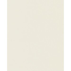 HNFD 20 Fotobox Trennkarten Avorio Liscio für...