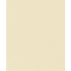 HNFD 20 Fotobox Trennkarten Crema für Fotoboxen...