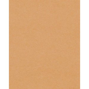 HNFD Fotobox Trennkarten Noce 10x15 cm 20 Stück...