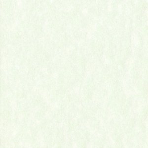 HNFD 20 Fotobox Trennkarten Perg Verdino für...