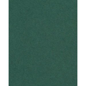 HNFD 20 Fotobox Trennkarten Verdone für Fotoboxen...