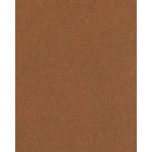 HNFD 20 Fotobox Trennkarten Tabacco für Fotoboxen...