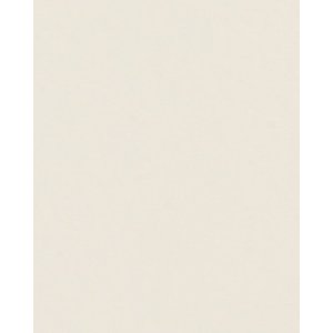 HNFD 20 Fotobox Trennkarten Conchiglia für Fotoboxen...