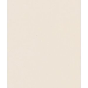 HNFD 20 Fotobox Trennkarten Vaniglia für Fotoboxen...