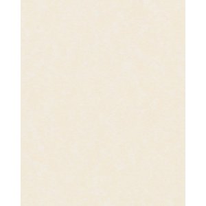 HNFD 20 Fotobox Trennkarten Perg Avorio Antico für...