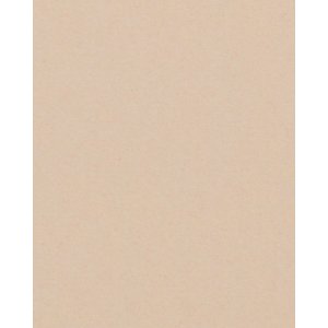 HNFD 20 Fotobox Trennkarten Creta für Fotoboxen...