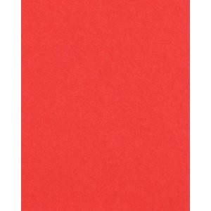 HNFD 20 Fotobox Trennkarten Rosso Ciliegia für...