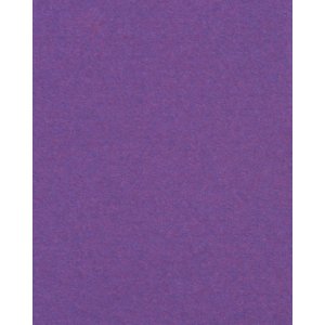 HNFD 20 Fotobox Trennkarten Lilla Scuro für...