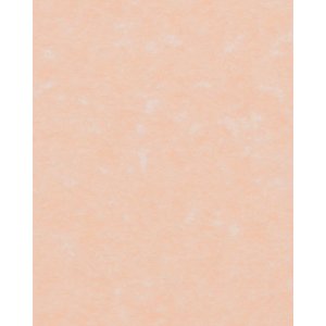 HNFD 20 Fotobox Trennkarten Perg Rosa für Fotoboxen...