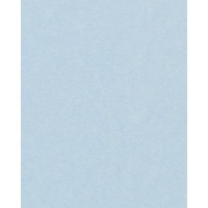 HNFD 20 Fotobox Trennkarten Perg Blue für Fotoboxen...