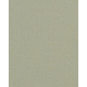 HNFD 20 Fotobox Trennkarten Pistacchio für Fotoboxen...