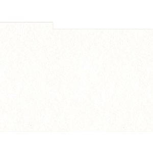 HNFD 12 Fotobox Trennkarten 13x18 cm Bianco Naturale