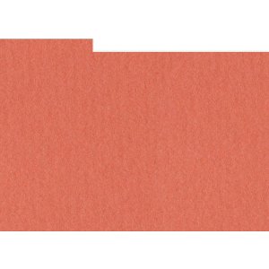 HNFD 12 Fotobox Trennkarten 13x18 cm - Corallo