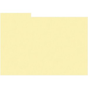 HNFD 12 Fotobox Trennkarten 13x18 cm - Crema