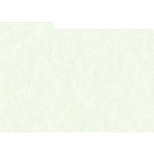 HNFD 12 Fotobox Trennkarten 13x18 cm - Perg Verdino