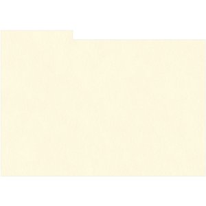 HNFD 12 Fotobox Trennkarten 13x18 cm - Avorio