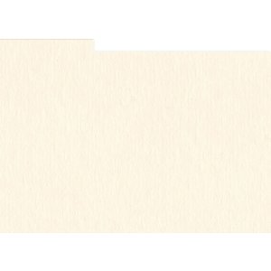 HNFD 12 Fotobox Trennkarten 13x18 cm - Conchiglia