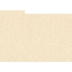 HNFD 12 Fotobox Trennkarten 13x18 cm Avorio di Castiglia