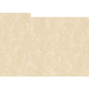 HNFD 12 Fotobox Trennkarten 13x18 cm - Perg Avorio Antico