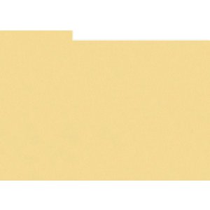 HNFD 12 Fotobox Trennkarten 13x18 cm - Paglierino