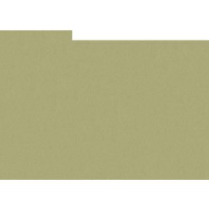 HNFD 12 Fotobox Trennkarten 13x18 cm - Verde Alga