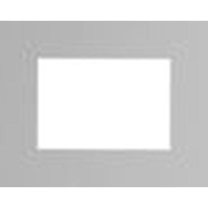 Standard-Passepartout Ceanothe 30x40 cm mit 20x30 cm grau