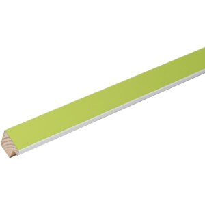 Deknudt Holz-Bilderrahmen S43AL grün-weiß 9x13 cm bis 30x40 cm