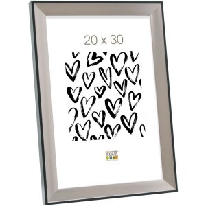 Rama foto albă din plastic S45FD, cu sticlă dublă, pentru tablouri până la 40x60 cm